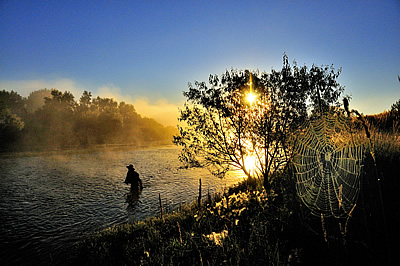 Spider web covered with dew, angler in background